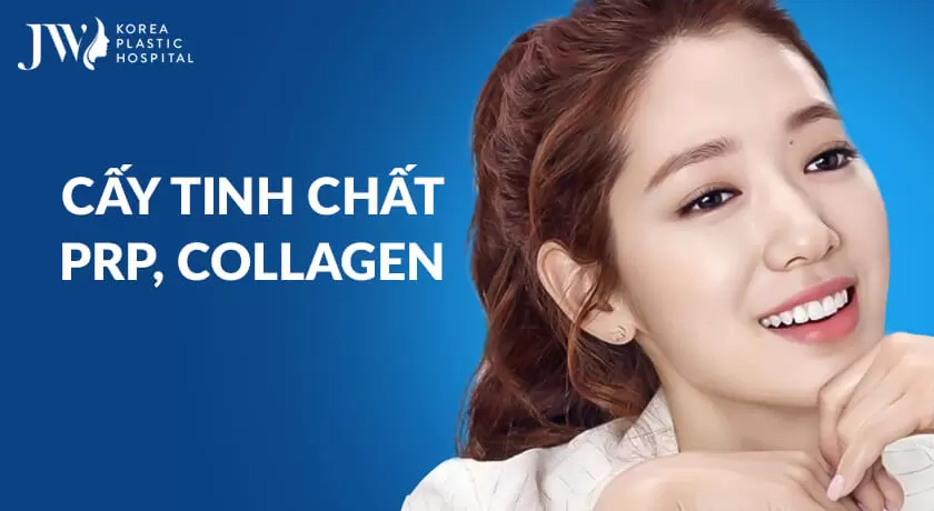 cay tinh chat prp