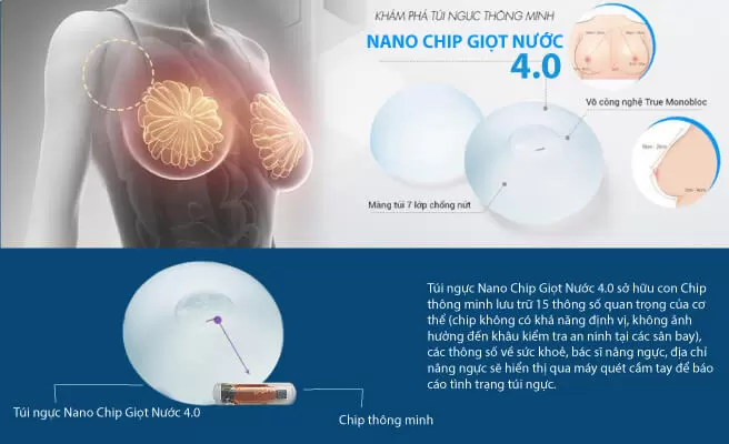 nanochip-4