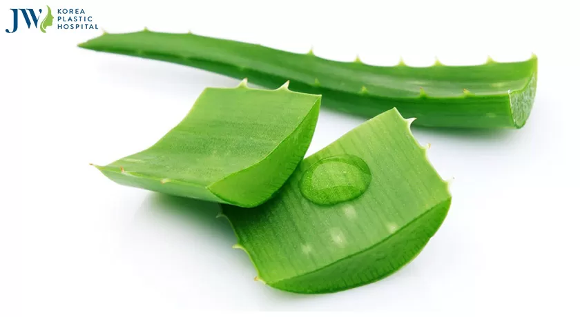 cách đắp mặt nạ nha đam làm mờ nám, tàn nhang
