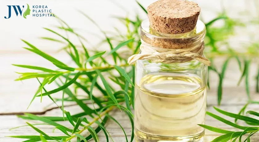 Trị mụn thịt ở mũi nhưng đừng quên phòng ngừa
