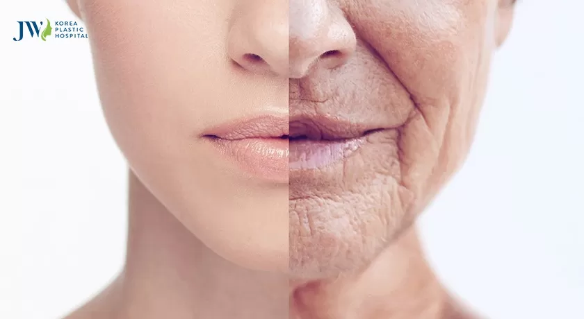 Cải lão gương mặt 3M 