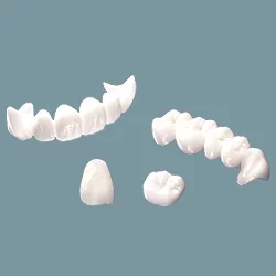 Mão toàn sứ<br>Zirconia –CAD/CAM