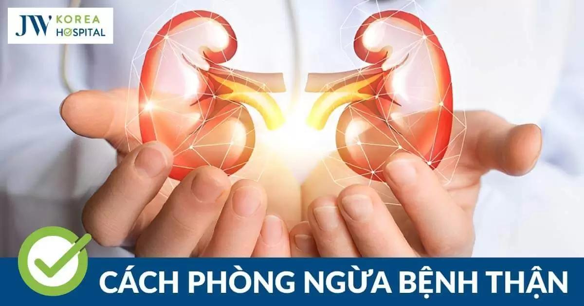 Bảo vệ thận: Cách phòng ngừa bệnh thận hiệu quả