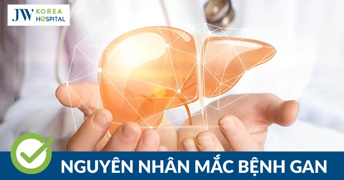 Bệnh gan: Nguyên nhân, dấu hiệu và cách điều trị an toàn