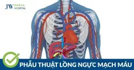 lồng ngực mạch máu