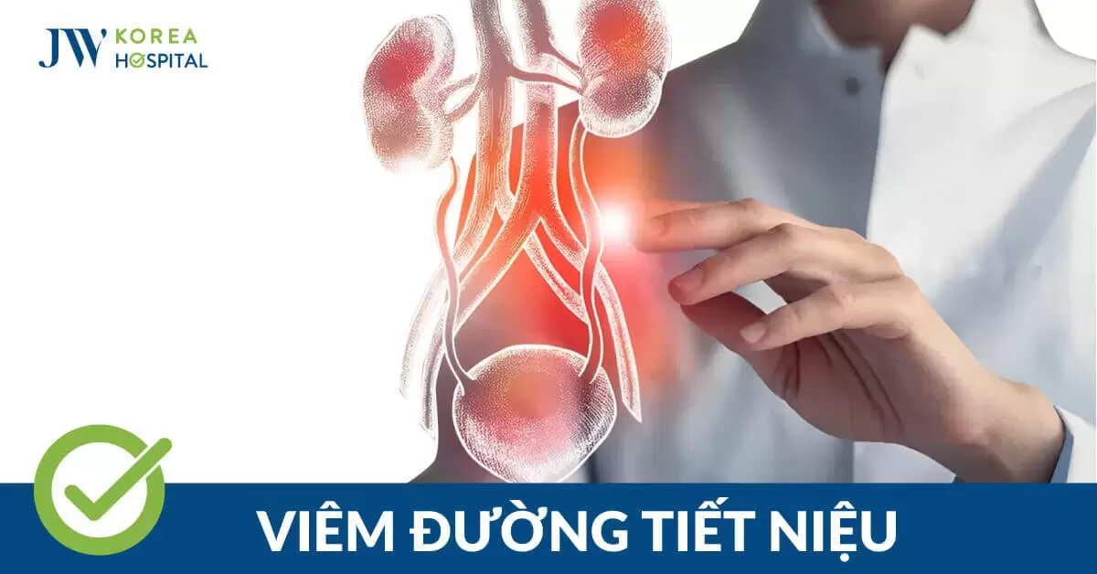 6 nguyên nhân gây viêm đường tiết niệu, không nên bỏ qua 