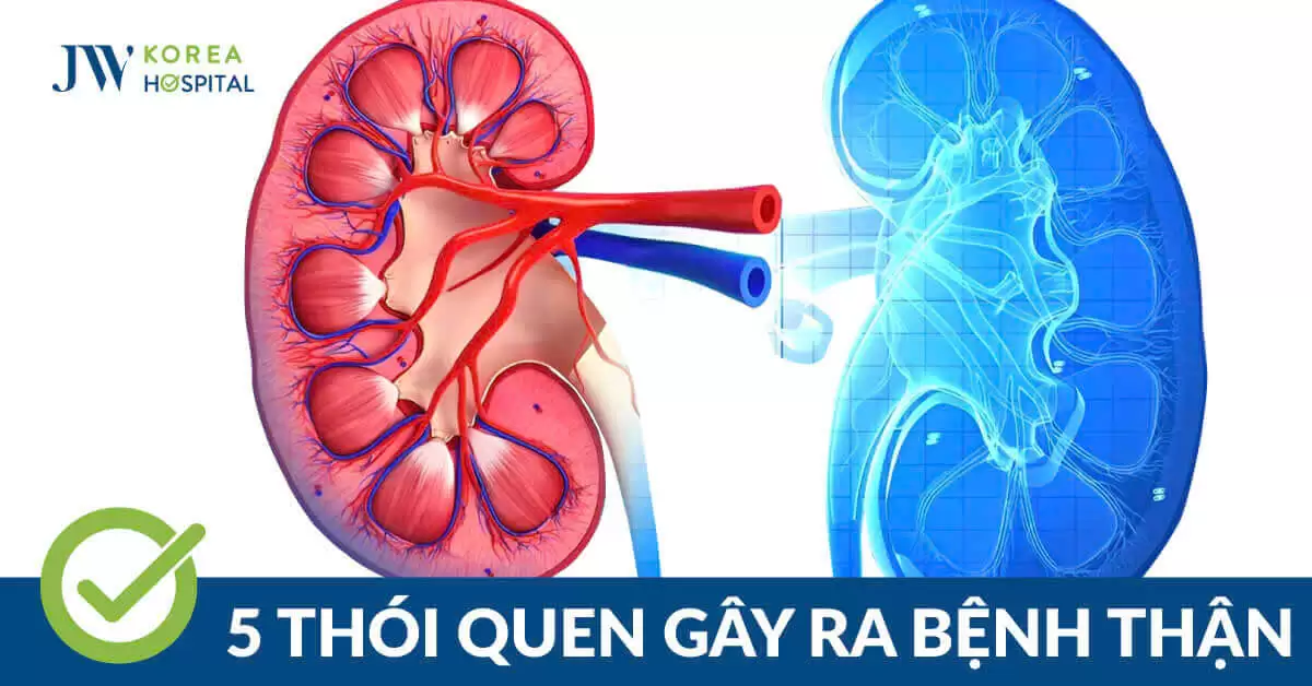 5 thói quen thường ngày làm tăng nguy cơ mắc bệnh thận