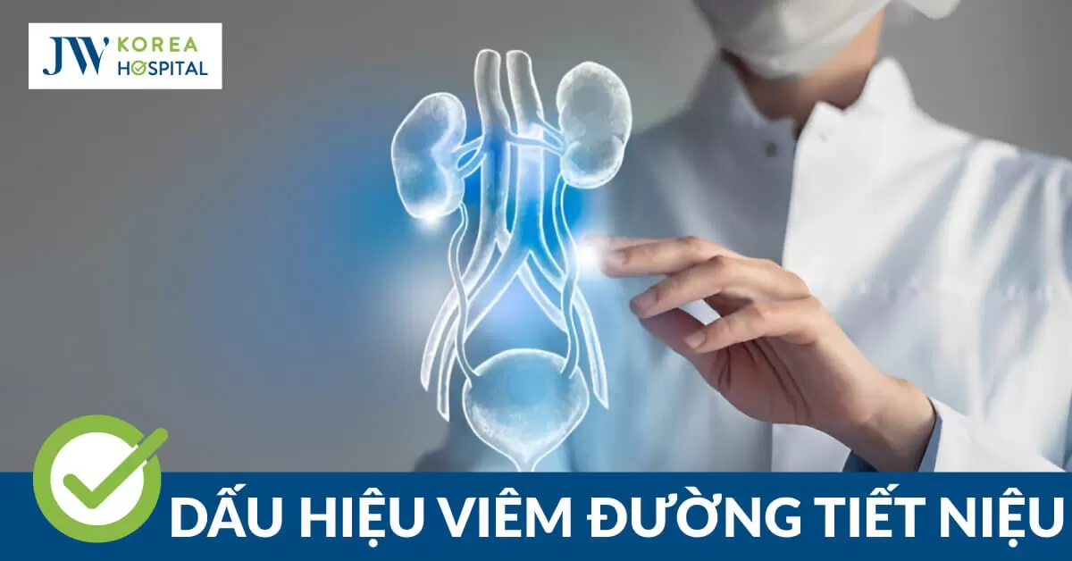 Viêm đường tiết niệu: Căn bệnh phổ biến nhưng ít ai hiểu rõ