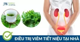 điều trị viêm tiết niệu