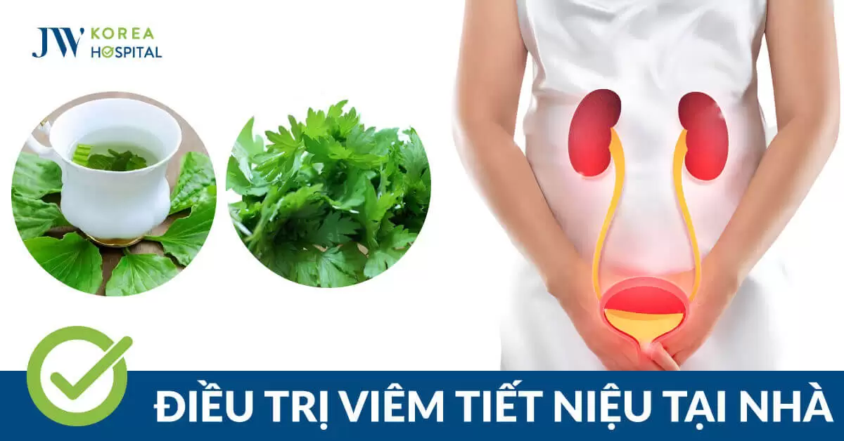 5 Cách điều trị viêm tiết niệu an toàn mà hiệu quả ngay tại nhà 