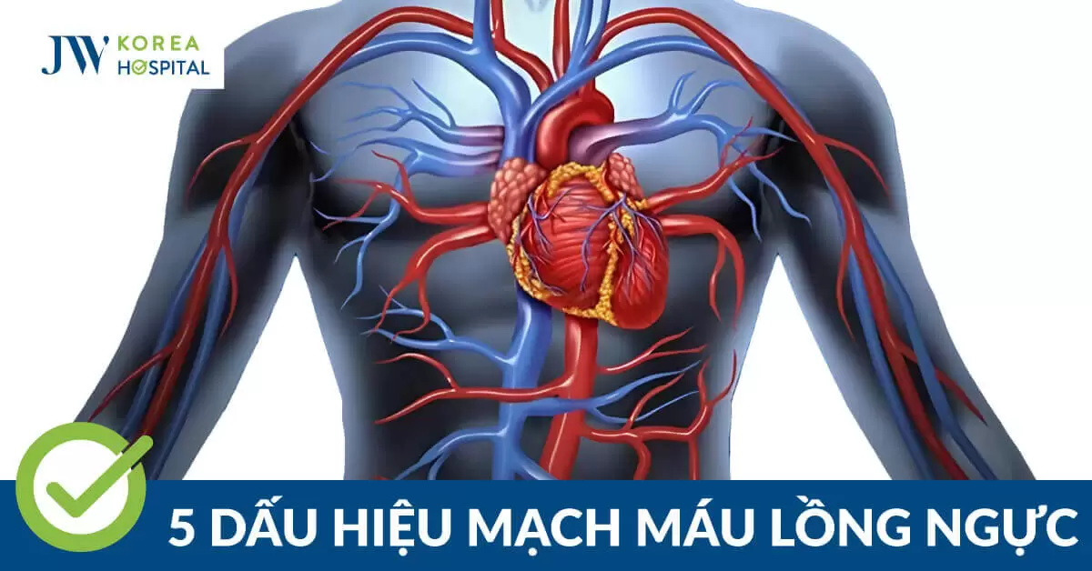 Mạch máu lồng ngực: 5 dấu hiệu cảnh báo và thời điểm cần khám