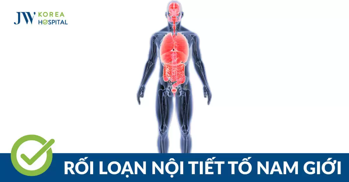 Rối loạn nội tiết tố nam: Nguyên nhân, dấu hiệu và cách điều trị 