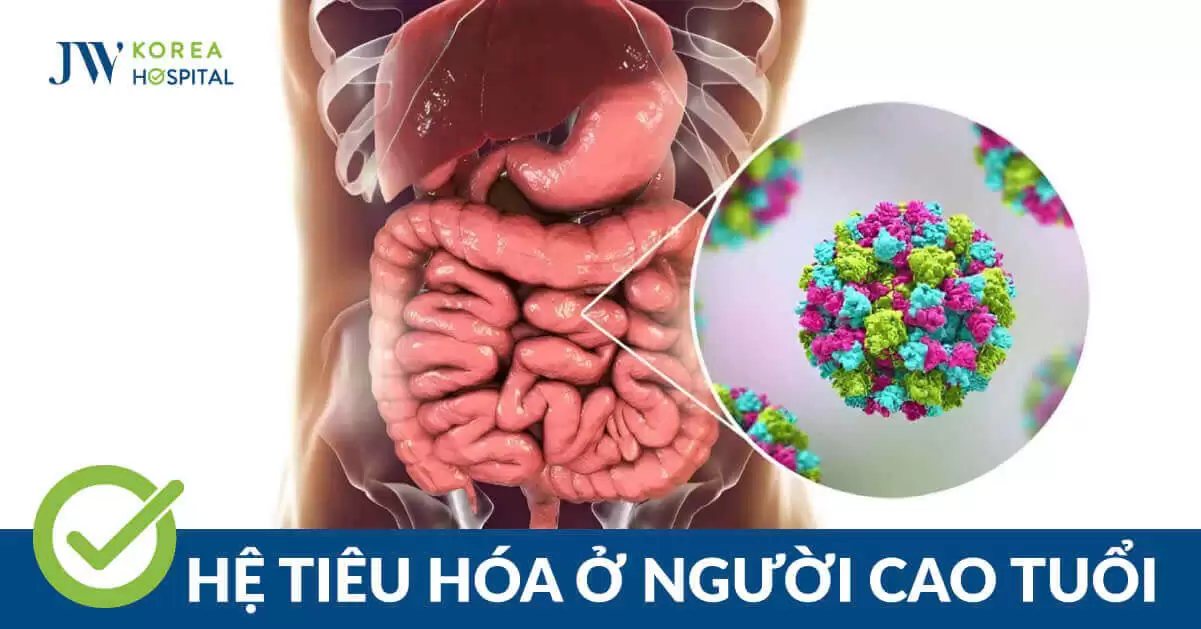 Rối Loạn Tiêu Hóa Ở Người Cao Tuổi: Lưu Ý Và Giải Pháp Phòng Ngừa