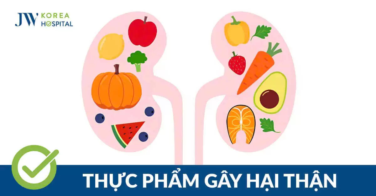 Những thực phẩm hại thận bạn nên biết để phòng tránh bệnh lý