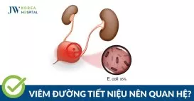 đường tiết niệu