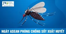 phòng chống sốt xuất huyết