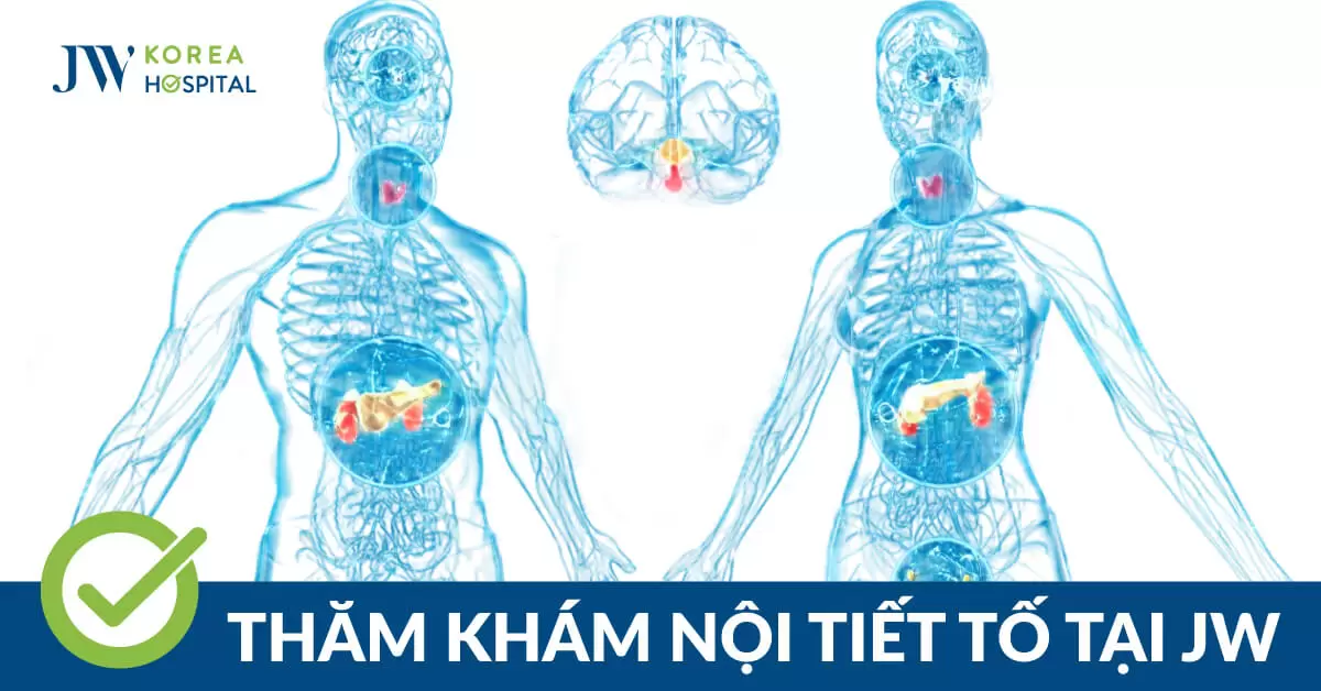 Khám nội tiết bao gồm những gì? Ai nên thăm khám bệnh lý sớm?