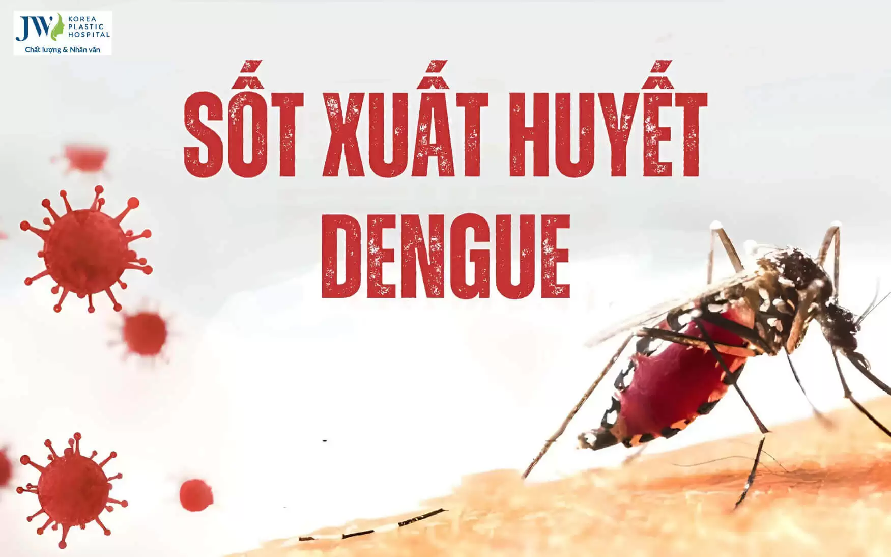 sot-xuat-huyet