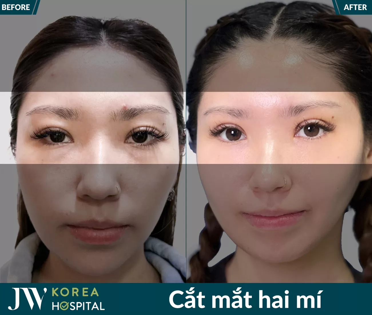 cat mat hai mi 